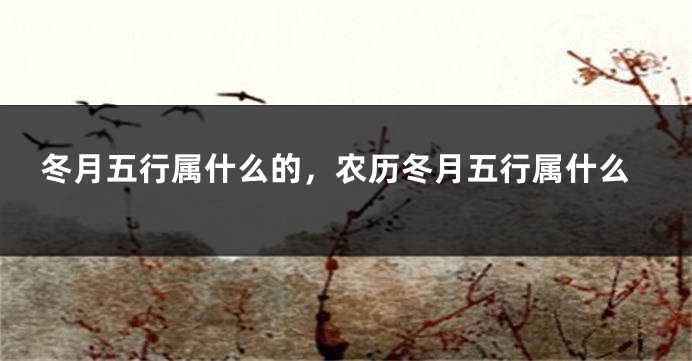 冬月五行属什么的，农历冬月五行属什么