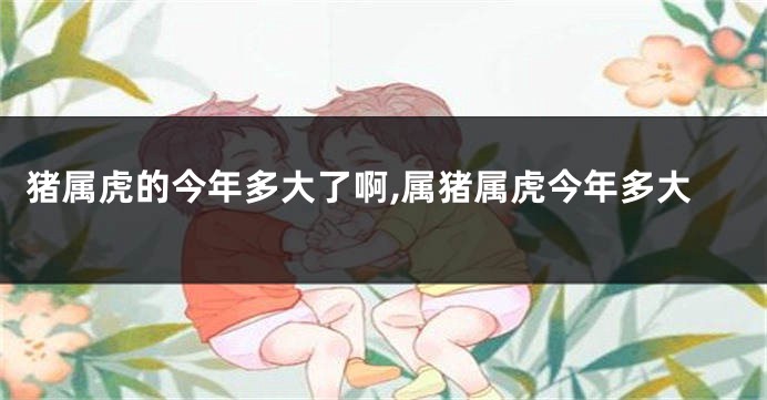 猪属虎的今年多大了啊,属猪属虎今年多大