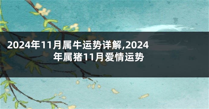 2024年11月属牛运势详解,2024年属猪11月爱情运势