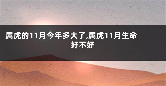 属虎的11月今年多大了,属虎11月生命好不好
