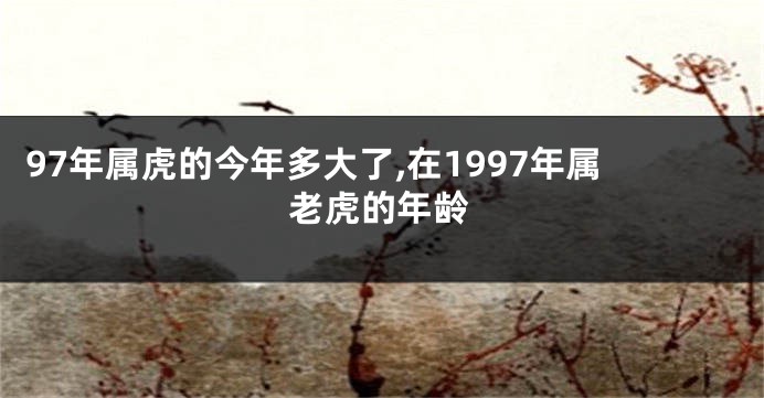 97年属虎的今年多大了,在1997年属老虎的年龄