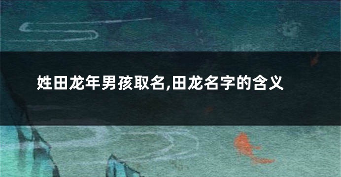 姓田龙年男孩取名,田龙名字的含义