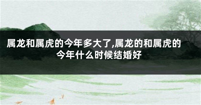 属龙和属虎的今年多大了,属龙的和属虎的今年什么时候结婚好