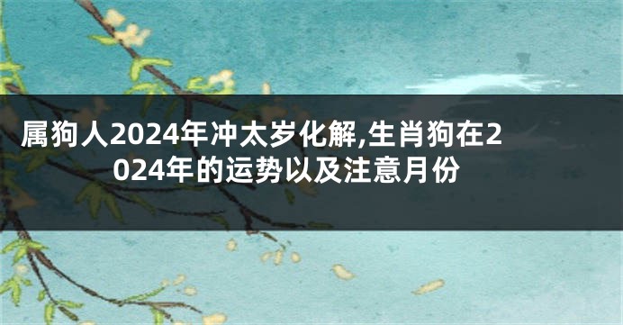 属狗人2024年冲太岁化解,生肖狗在2024年的运势以及注意月份