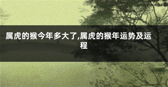 属虎的猴今年多大了,属虎的猴年运势及运程