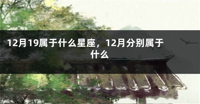 12月19属于什么星座，12月分别属于什么