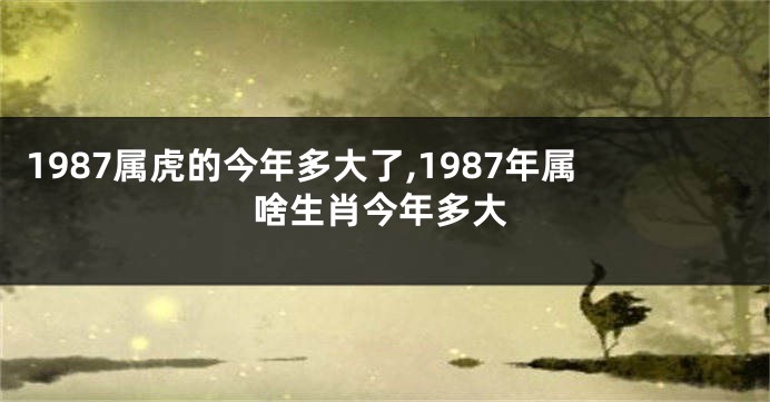 1987属虎的今年多大了,1987年属啥生肖今年多大
