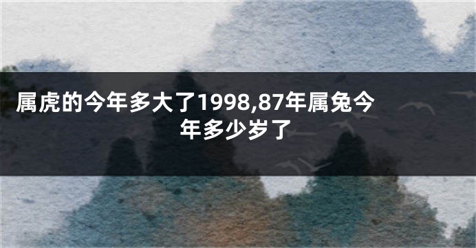 属虎的今年多大了1998,87年属兔今年多少岁了