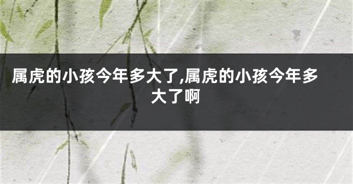 属虎的小孩今年多大了,属虎的小孩今年多大了啊