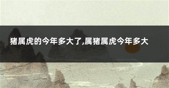 猪属虎的今年多大了,属猪属虎今年多大