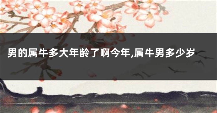 男的属牛多大年龄了啊今年,属牛男多少岁