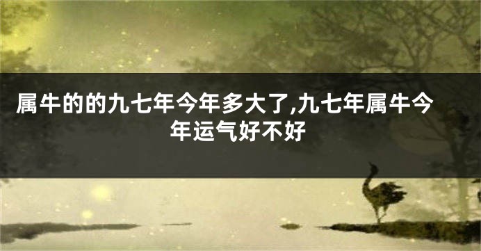 属牛的的九七年今年多大了,九七年属牛今年运气好不好