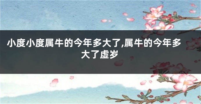小度小度属牛的今年多大了,属牛的今年多大了虚岁