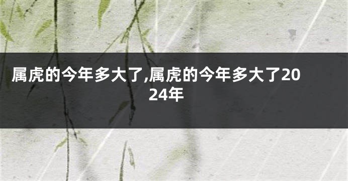 属虎的今年多大了,属虎的今年多大了2024年