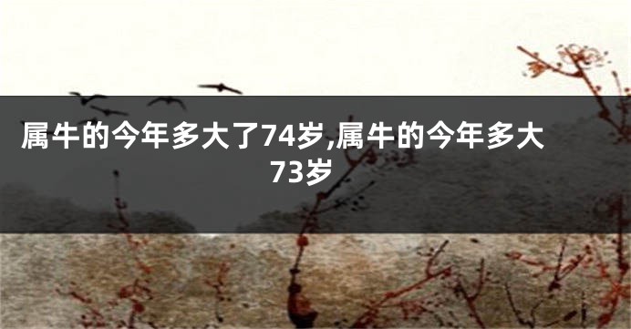 属牛的今年多大了74岁,属牛的今年多大73岁