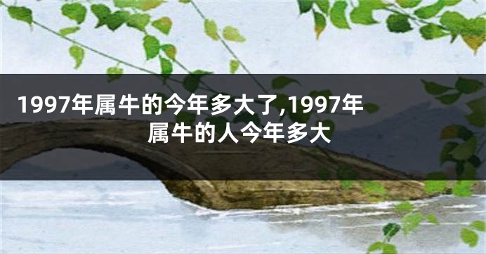 1997年属牛的今年多大了,1997年属牛的人今年多大