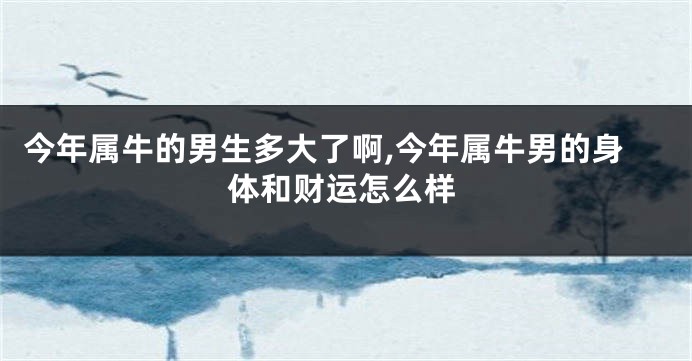 今年属牛的男生多大了啊,今年属牛男的身体和财运怎么样