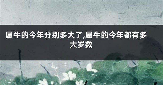 属牛的今年分别多大了,属牛的今年都有多大岁数