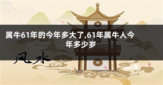 属牛61年的今年多大了,61年属牛人今年多少岁
