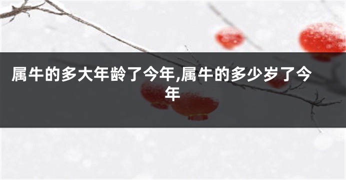 属牛的多大年龄了今年,属牛的多少岁了今年