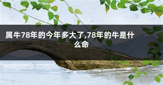 属牛78年的今年多大了,78年的牛是什么命