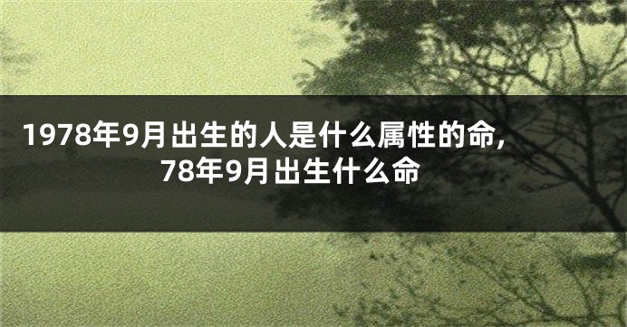 1978年9月出生的人是什么属性的命,78年9月出生什么命