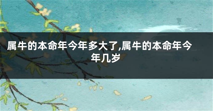 属牛的本命年今年多大了,属牛的本命年今年几岁