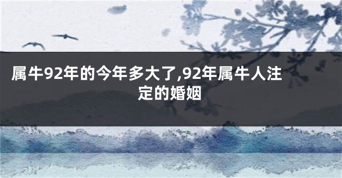 属牛92年的今年多大了,92年属牛人注定的婚姻