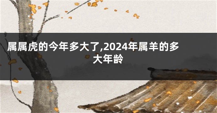 属属虎的今年多大了,2024年属羊的多大年龄