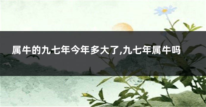 属牛的九七年今年多大了,九七年属牛吗