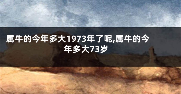 属牛的今年多大1973年了呢,属牛的今年多大73岁