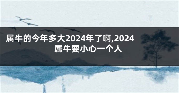 属牛的今年多大2024年了啊,2024属牛要小心一个人