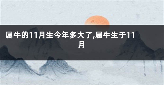 属牛的11月生今年多大了,属牛生于11月