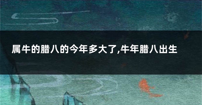 属牛的腊八的今年多大了,牛年腊八出生