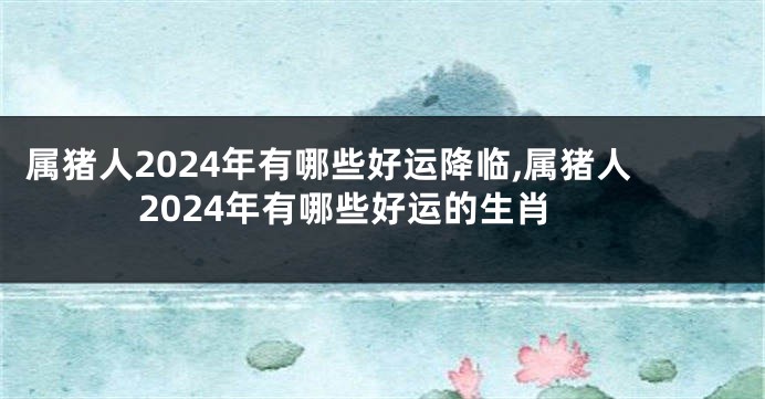 属猪人2024年有哪些好运降临,属猪人2024年有哪些好运的生肖