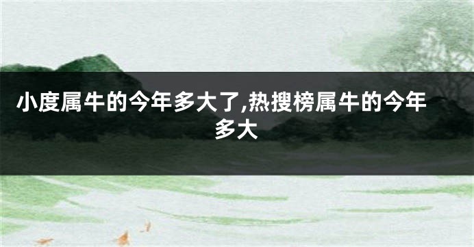 小度属牛的今年多大了,热搜榜属牛的今年多大