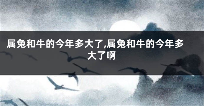 属兔和牛的今年多大了,属兔和牛的今年多大了啊