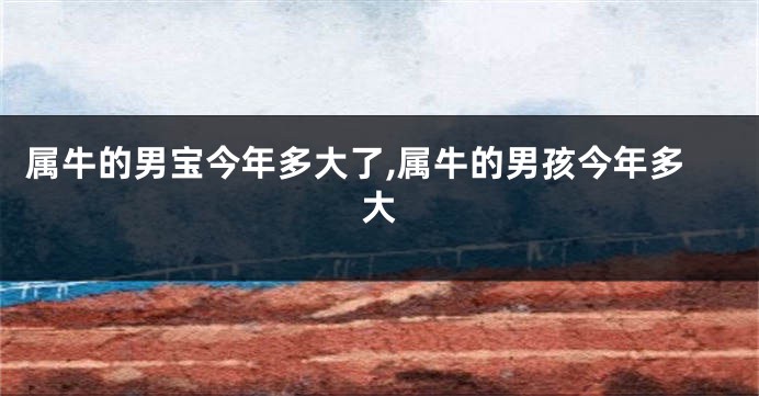 属牛的男宝今年多大了,属牛的男孩今年多大