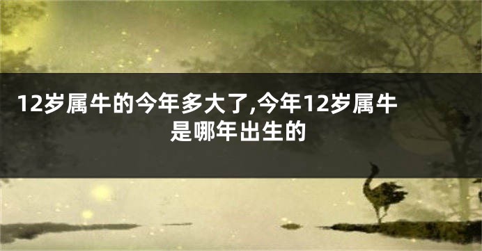 12岁属牛的今年多大了,今年12岁属牛是哪年出生的