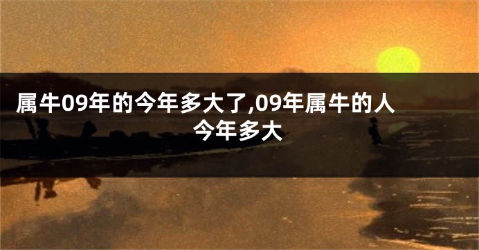 属牛09年的今年多大了,09年属牛的人今年多大