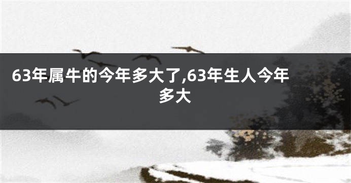 63年属牛的今年多大了,63年生人今年多大