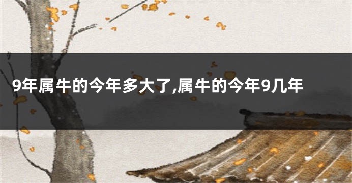 9年属牛的今年多大了,属牛的今年9几年