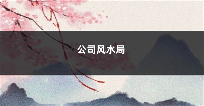 公司风水局