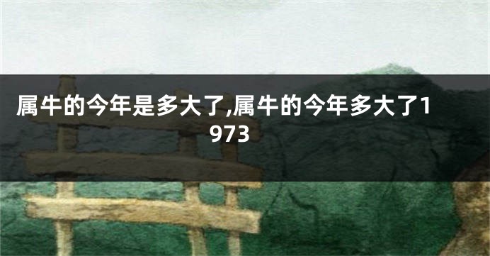属牛的今年是多大了,属牛的今年多大了1973