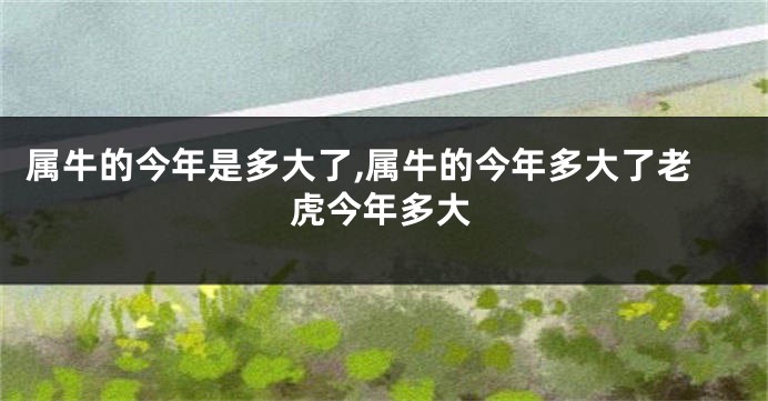 属牛的今年是多大了,属牛的今年多大了老虎今年多大