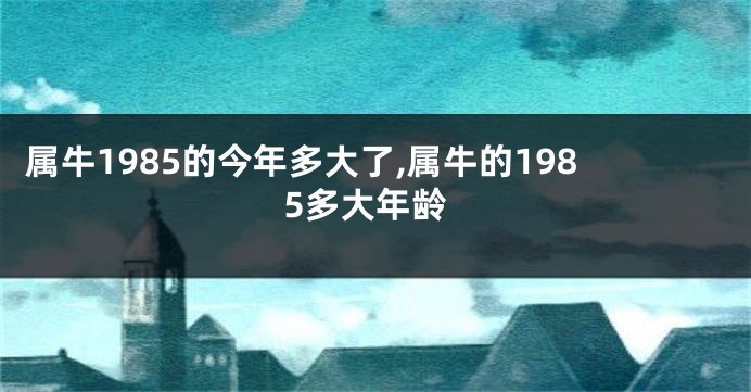 属牛1985的今年多大了,属牛的1985多大年龄
