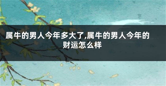 属牛的男人今年多大了,属牛的男人今年的财运怎么样