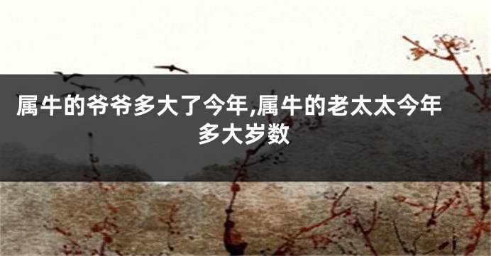 属牛的爷爷多大了今年,属牛的老太太今年多大岁数