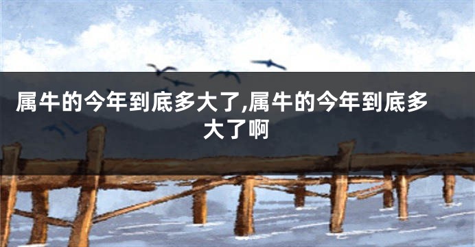 属牛的今年到底多大了,属牛的今年到底多大了啊
