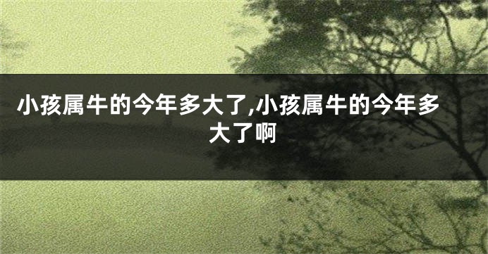 小孩属牛的今年多大了,小孩属牛的今年多大了啊